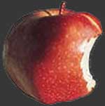 pomme